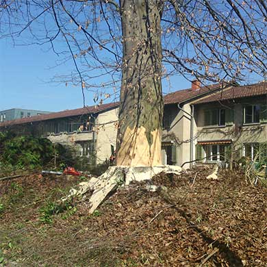 Gartenholzerei im Quartier