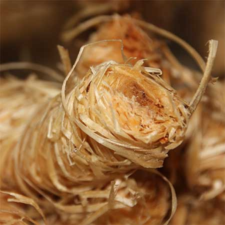 Anzünder Nahaufnahme