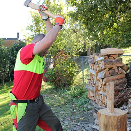 Toby beim Holzhacken